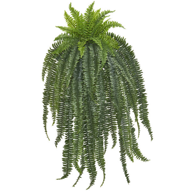 Charlton Home® Faux Fern Plant & Reviews Wayfair